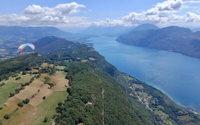 Quelle révision choisir en cas de vente ou d’achat de parapente ?